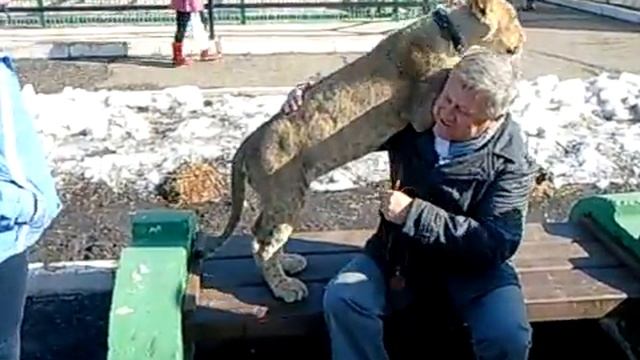 лев Алтай смотреть онлайн