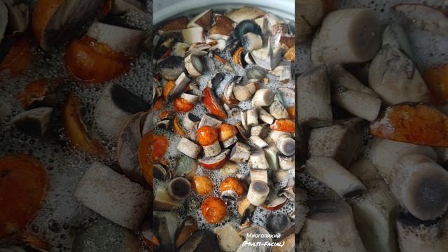 Подосиновики #shorts смотреть онлайн