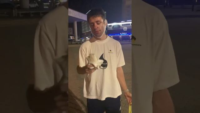 Пробуем шарму в самом центре Красноярска #красноярск #центгорода #шаурмен #шаурма смотреть онлайн