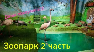 Екатеринбург. Зоопарк 2 часть экскурсии