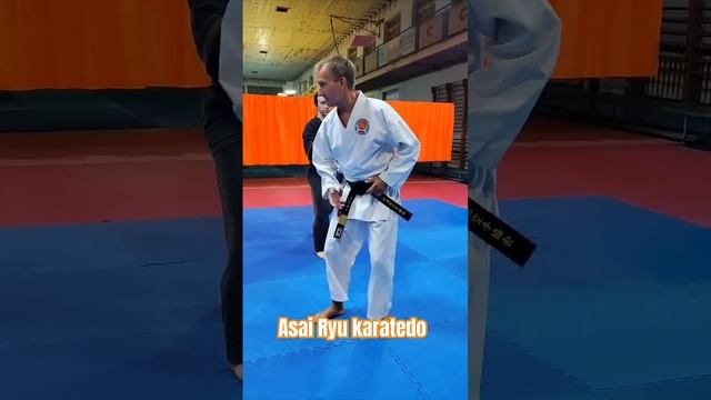 Хейан Нидан. Бункай Ёко Гери кеаге. #asairyu #каратэ #karate смотреть онлайн