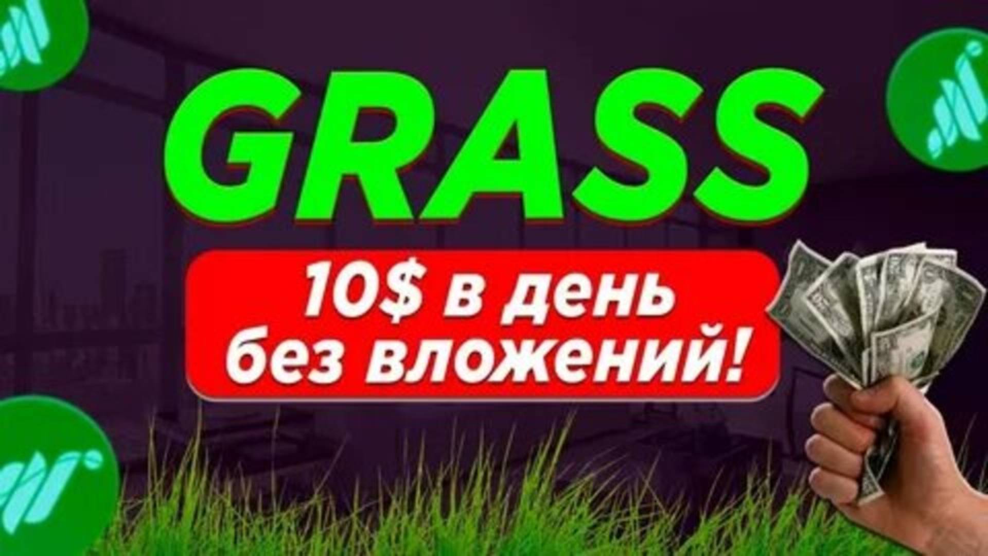 Grass Code: HO6X8PH6KdXuw6Z