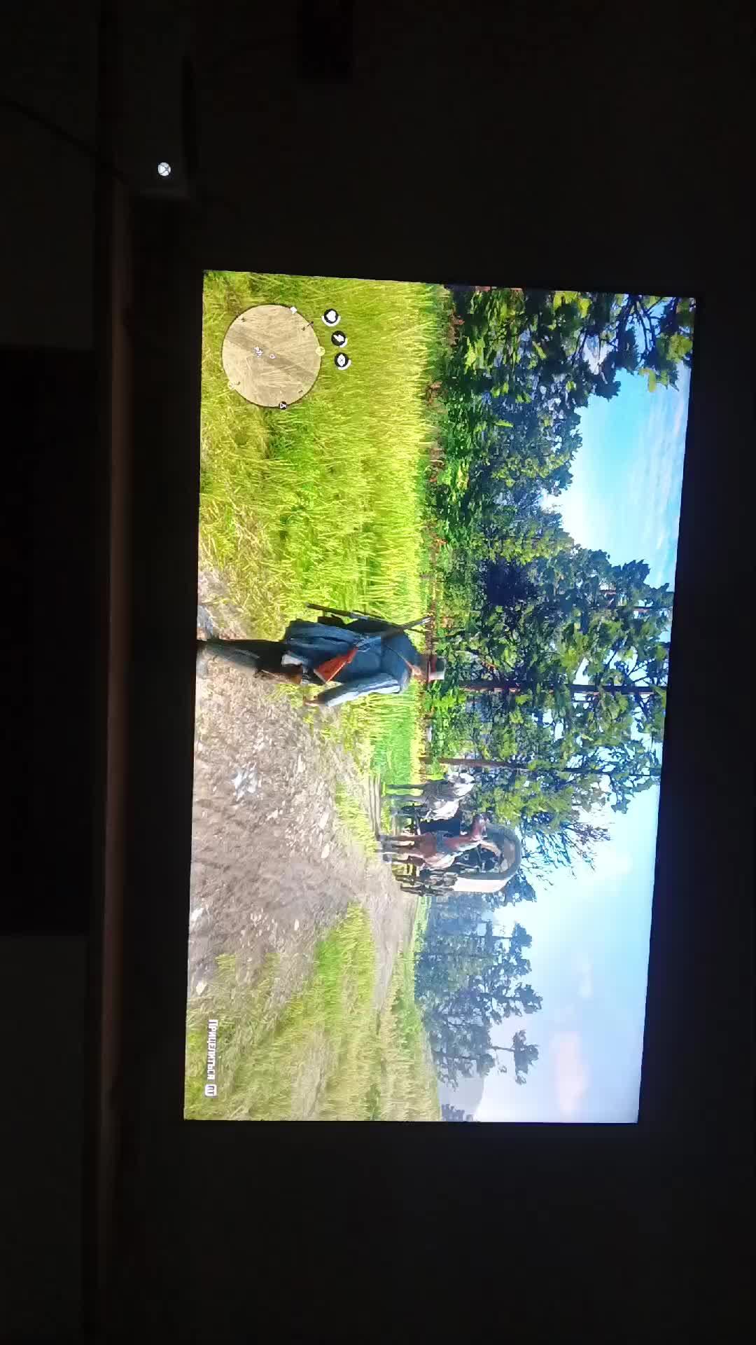 играем в Rdr2