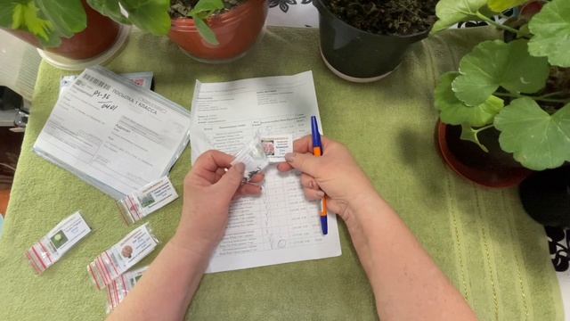 Наконец-то пришли профессиональные семена цветов! Обзор. смотреть онлайн