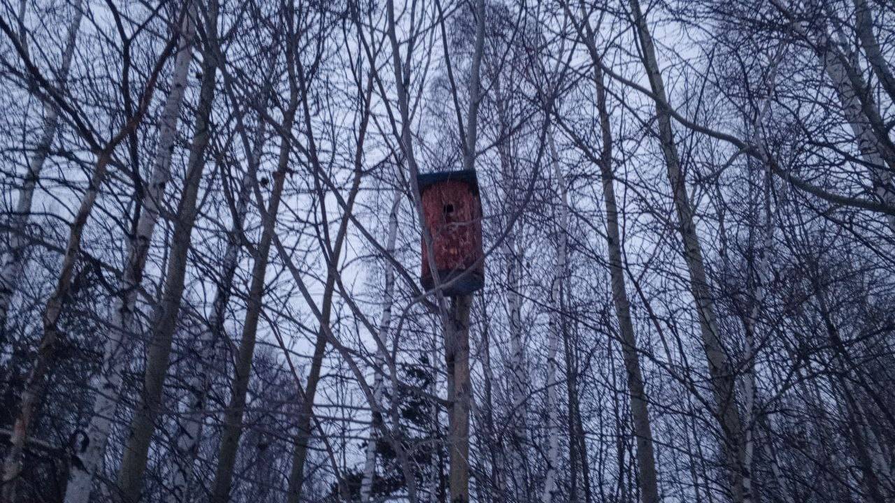 Поход на зимний карьер!(видео 2023 года) смотреть онлайн