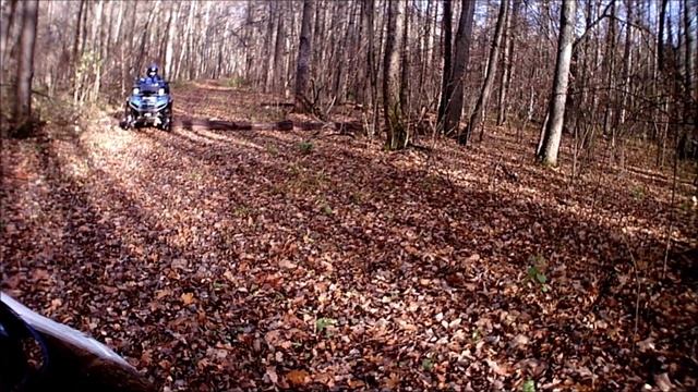 Тимон и Пумба FATBOY LX-130 27.10.2018 часть 2 "Тимон и дуб" смотреть онлайн