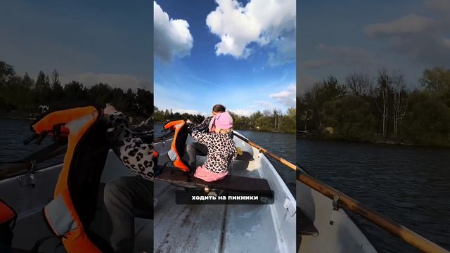 заготовки для гармонии