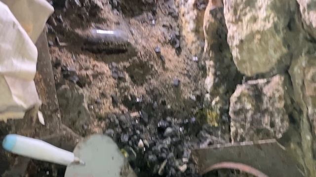 В подвале старинного заброшенного дома обнаружили клад древних артефактов смотреть онлайн