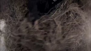 ЭТОТ ФИЛЬМ НУЖНО СМОТРЕТЬ! БОЕВИК! НОВИНКА! СИЛЬНЫЙ СЮЖЕТ! Разжалованный