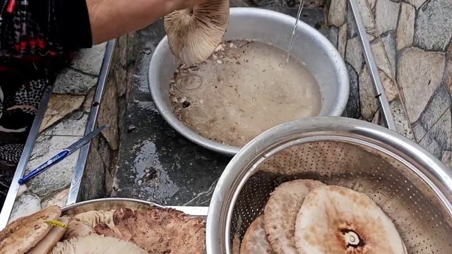 Сбор Лесных Грибов. Секретный Рецепт Грибы с Сыром в Дровяной Печи смотреть онлайн