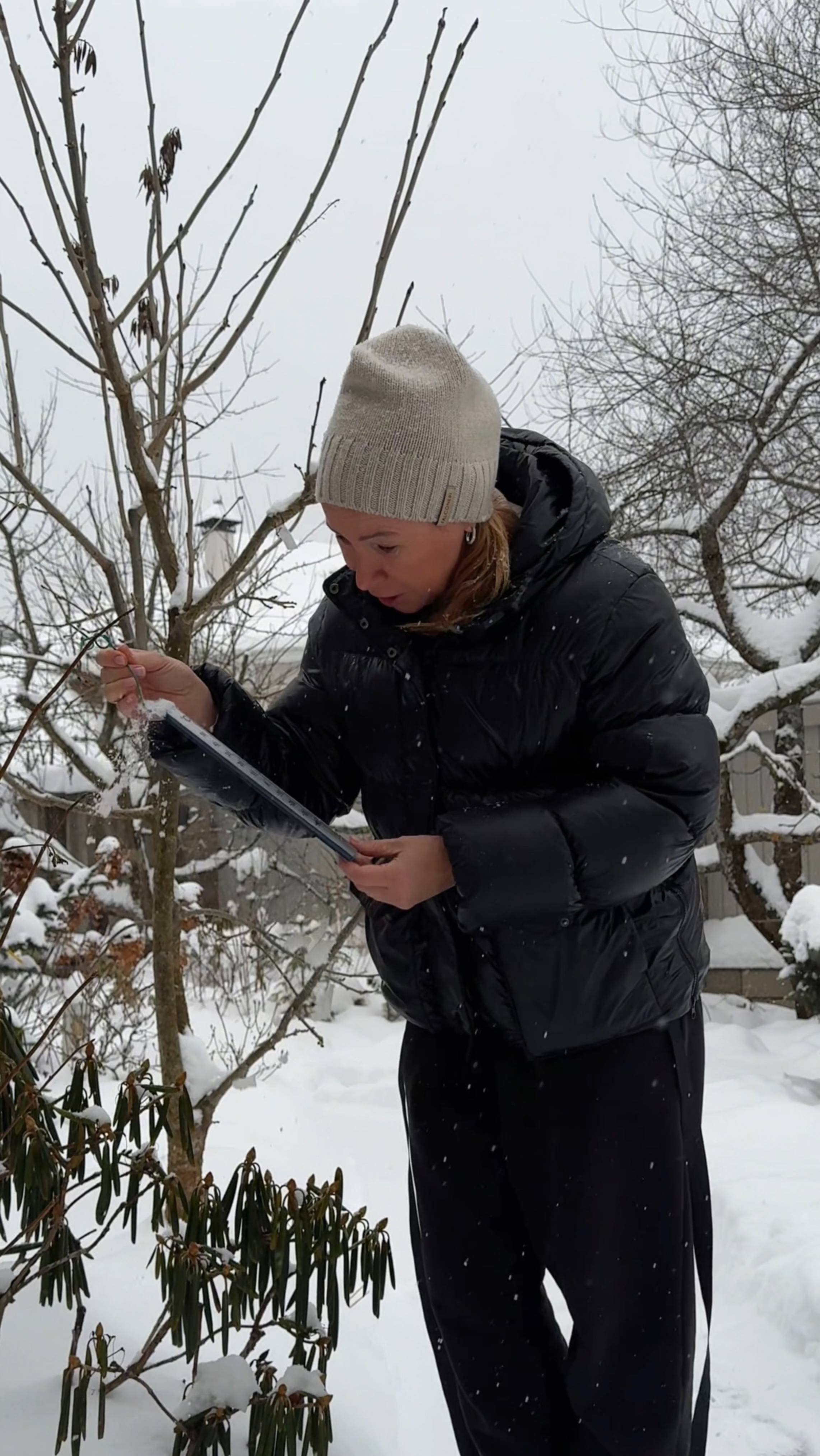 Зима для большинства садоводов это… смотреть онлайн