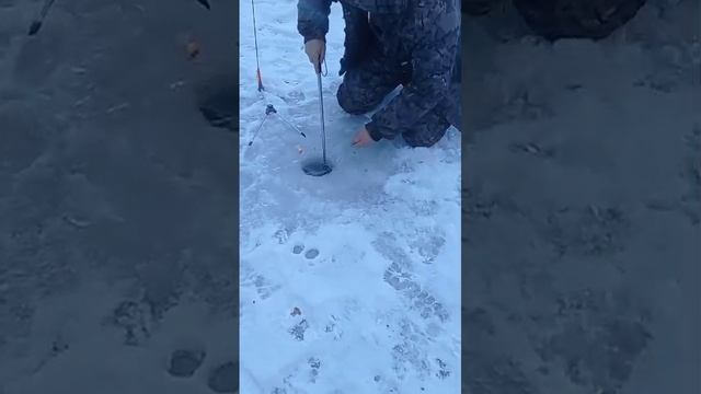 поимка форели смотреть онлайн