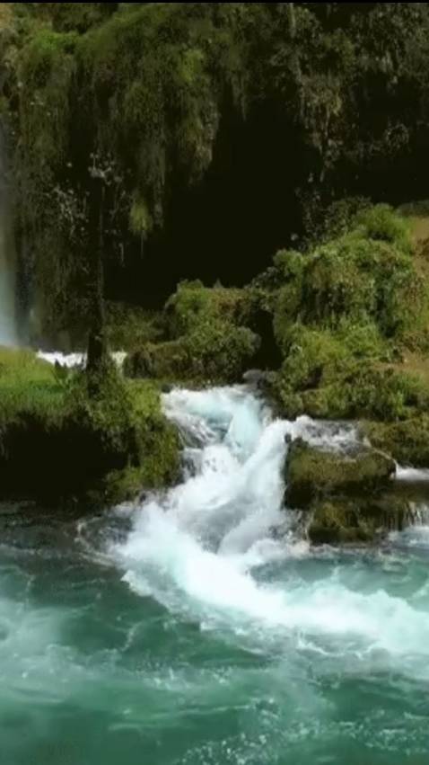 В чаше терпения ... смотреть онлайн