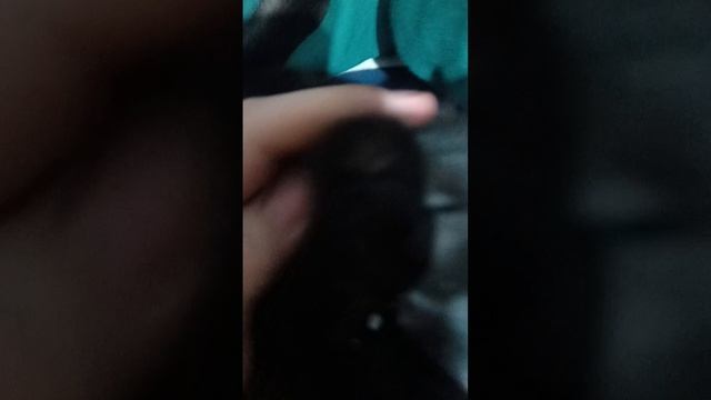 scene_output.mp4 смотреть онлайн