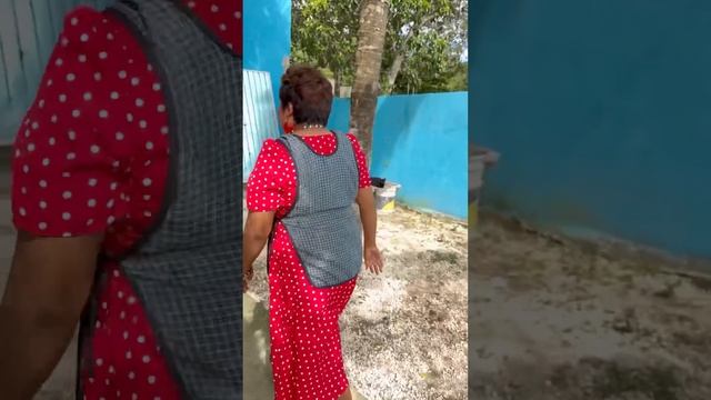 Un hombre desconocido anda buscando a Doña Cata смотреть онлайн