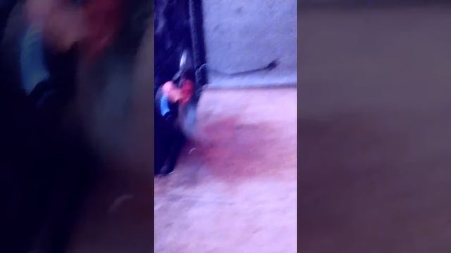 Crazy hotdog maker смотреть онлайн