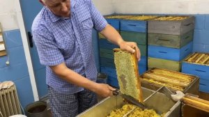 ЖАРКИЙ АВГУСТ 2023! ОТКАЧКА МЁДА!!!