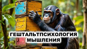 04.3. Гештальттеория мышления