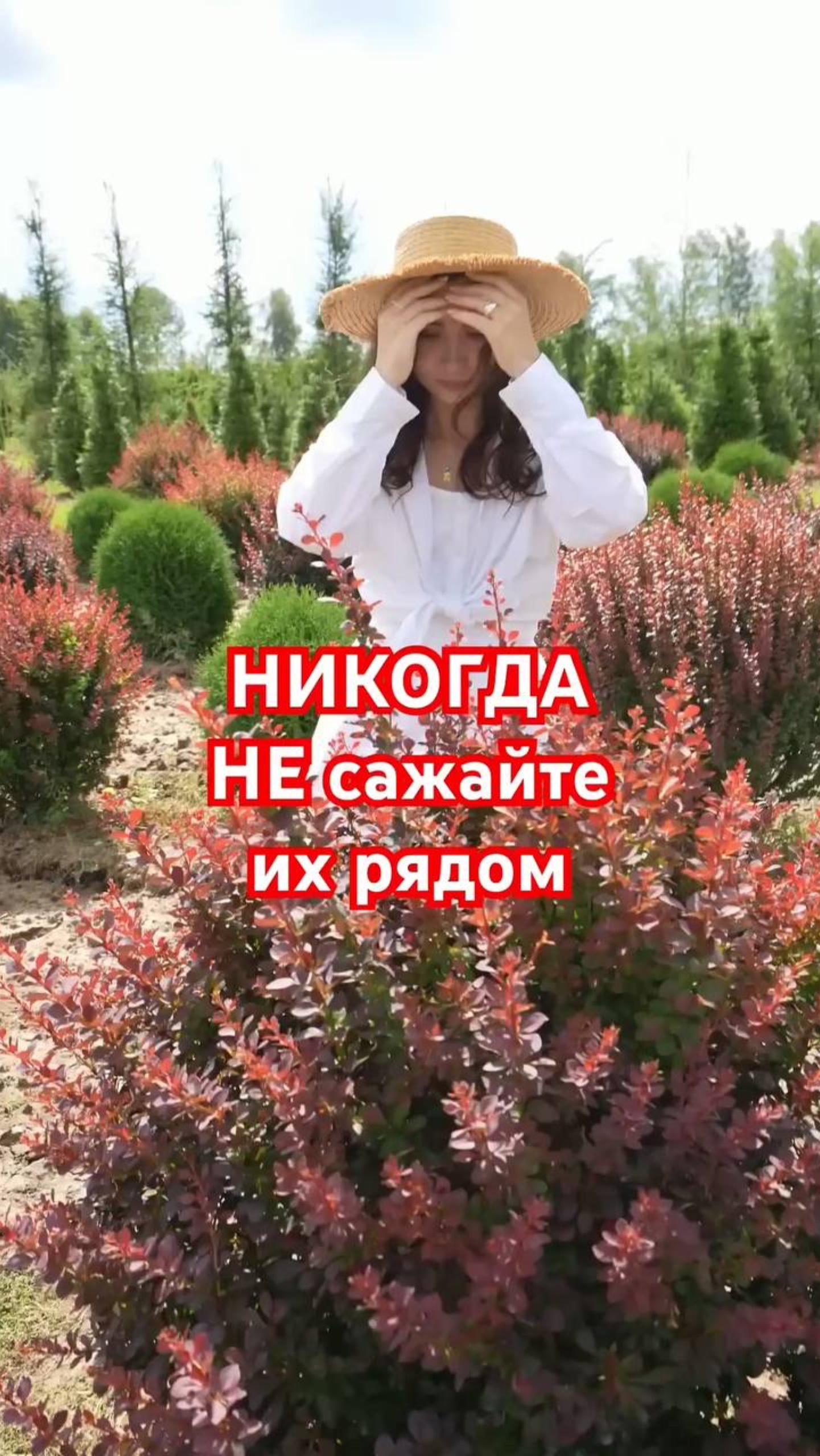 ХУДШИЕ СОСЕДИ: какие цветы НЕЛЬЗЯ САЖАТЬ ВМЕСТЕ смотреть онлайн