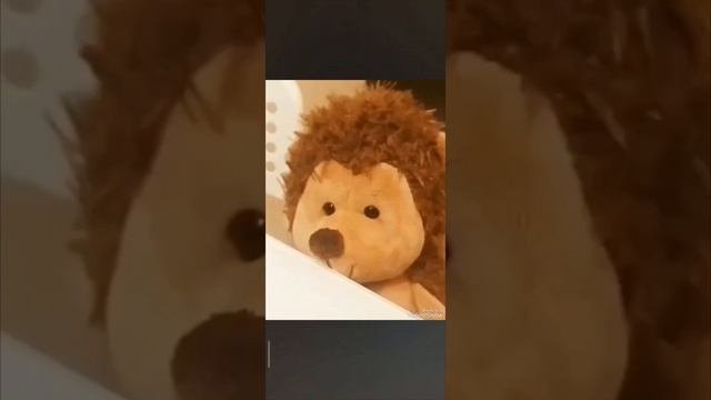🌼Мультик "Здесь был ёжик Коля" 🌼 смотреть онлайн