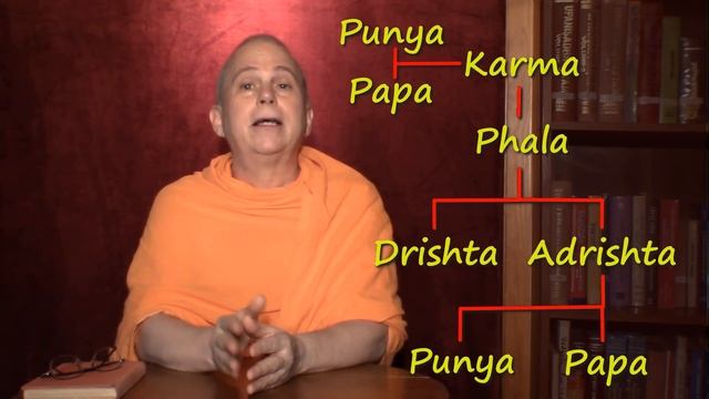 La Doctrina del Karma: Drishta & Adrishta Phala - (Parte 1/3) смотреть онлайн