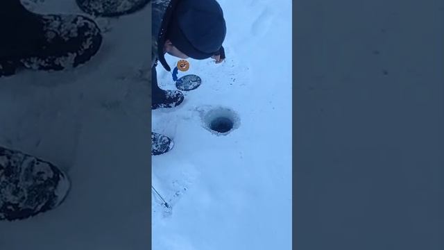 поимка форели смотреть онлайн