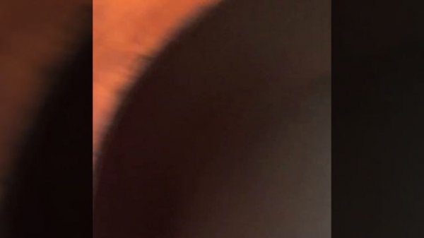 Самая вкусная пита на сковороде?