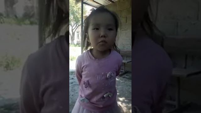 София смотреть онлайн