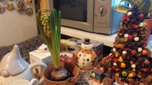 влог - зима в Риге, барахолка, что отдаю, начало цветочных покупок. Рената Смирнова. Рига