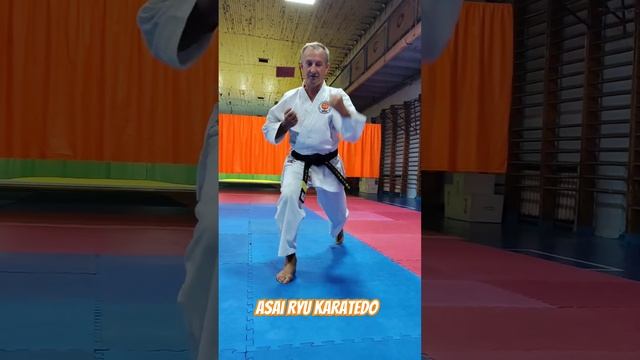 Гьяку цуки из положения на корточках. Asai Ryu karatedo. #karate #каратэ #asairyu смотреть онлайн