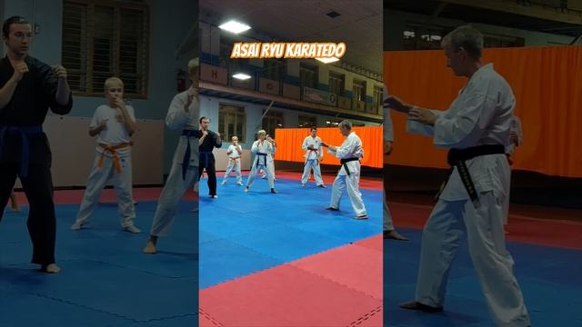 Три уровня Мае Гери. Отработка. #каратэ #karate #asairyu смотреть онлайн