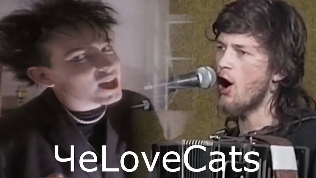 TheLovec&cats