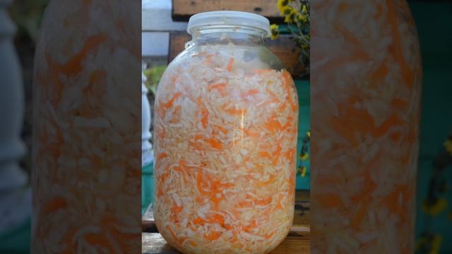 ШИНКОВАННАЯ КИСЛАЯ КАПУСТА. смотреть онлайн