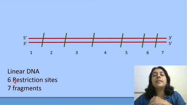 GAT B 2021 | Solved MCQ | Solving Questions with Gauri ma’am смотреть онлайн