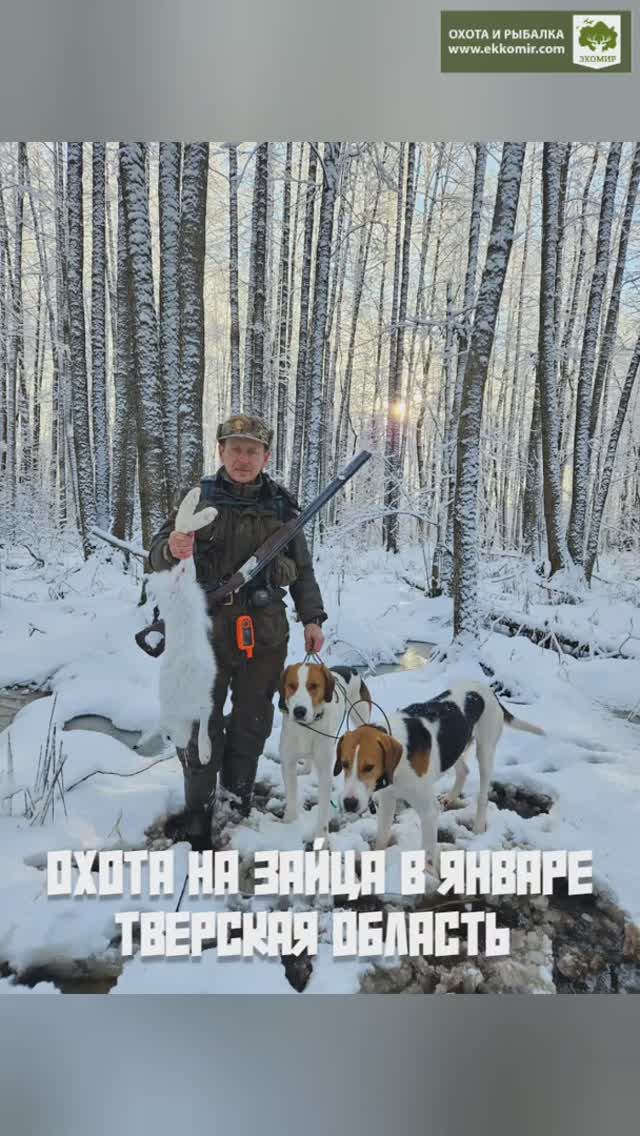 Охота на зайца в Экомире. +18 смотреть онлайн