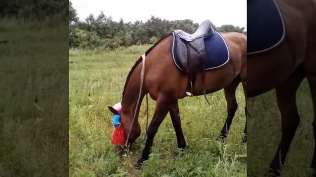 Наша история смотреть онлайн