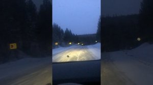 Перегон авто из Владивостока/поездка за Тойотой