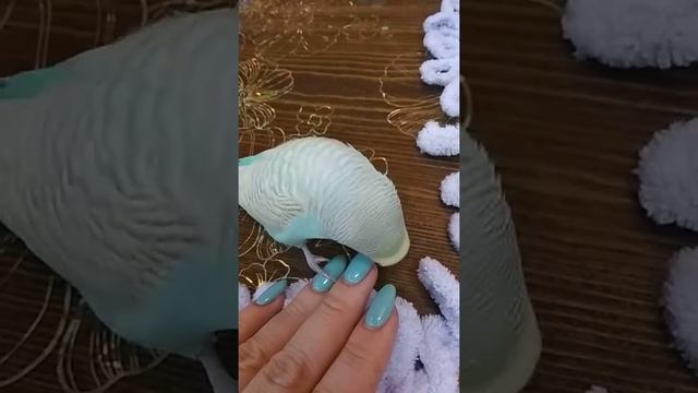 10 января 2019 г.(2) смотреть онлайн