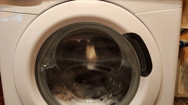 Почему не стоит покупать дешевую стиральную машину ? смотреть онлайн