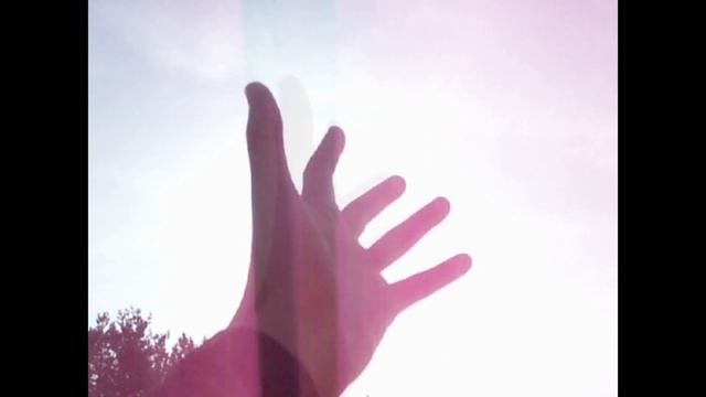 Прогулка в Зеленогорском лесу (Красноярск-45) смотреть онлайн