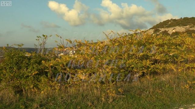 Иди к своей цели, не смотря ни на что! смотреть онлайн