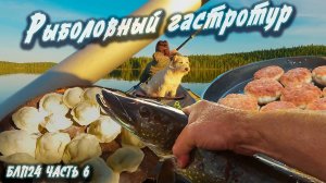 #6 Рыболовный гастротур | Навстречу северным ветрам 2024