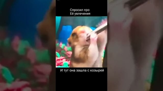 Подписывайся и готовься к порции безумия, которая взорвет твой день! 🚀 смотреть онлайн