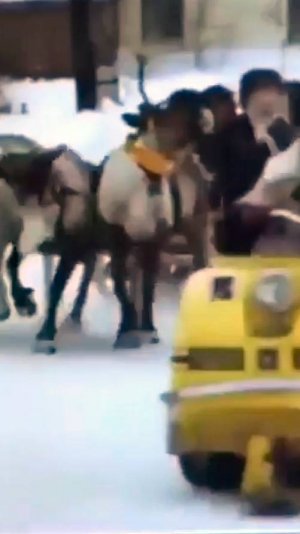 Документальный фильм 1979 года о жителях села Ловозеро Мурманской области