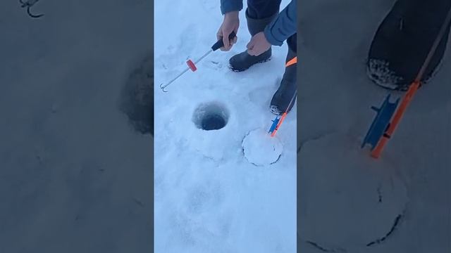 поимка форели на пассив смотреть онлайн