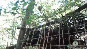 Готовим в лесу ( крутые перцы )