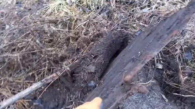 Спустились в лог ААА ТАМ!!! смотреть онлайн