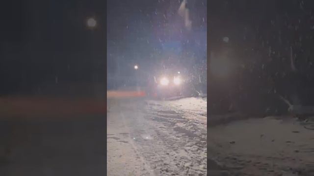 Зима 2025 год.