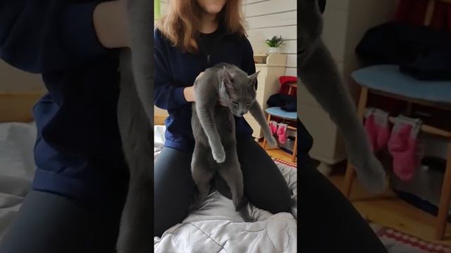 Шлёпа смотреть онлайн