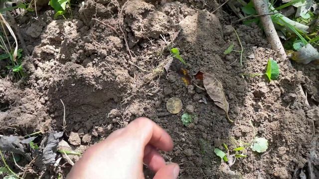 Лесной коп!Икона и царские монеты! смотреть онлайн